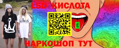 прущие крисы Камышлов