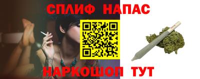 прущие крисы Камышлов