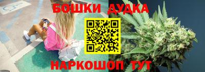 прущие крисы Камышлов