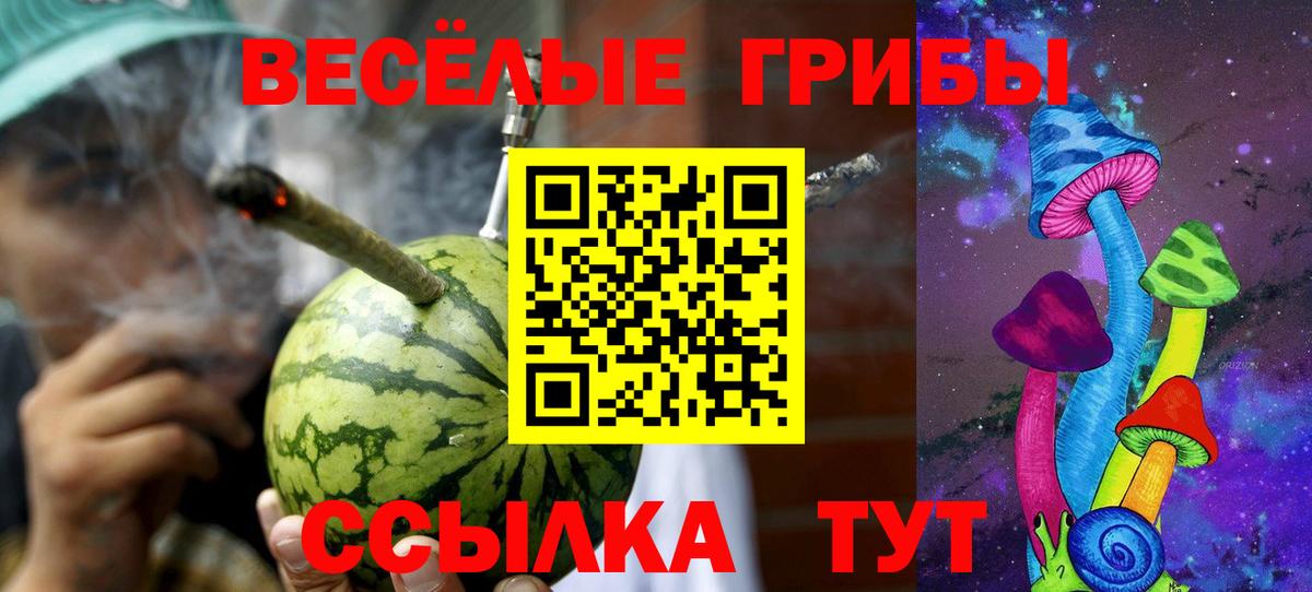 Краснодар  Псилоцибиновые грибы Psilocybine cubensis  Вход с VPN  Галлюциногенные грибы GOLDEN TEACHER 